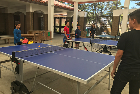 Ping Pong Camp